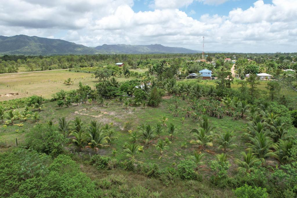 listing image with ID 49619
