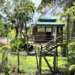 listing image thumbnail with ID 49980