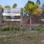 listing image thumbnail with ID 49542