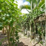 listing image thumbnail with ID 49630