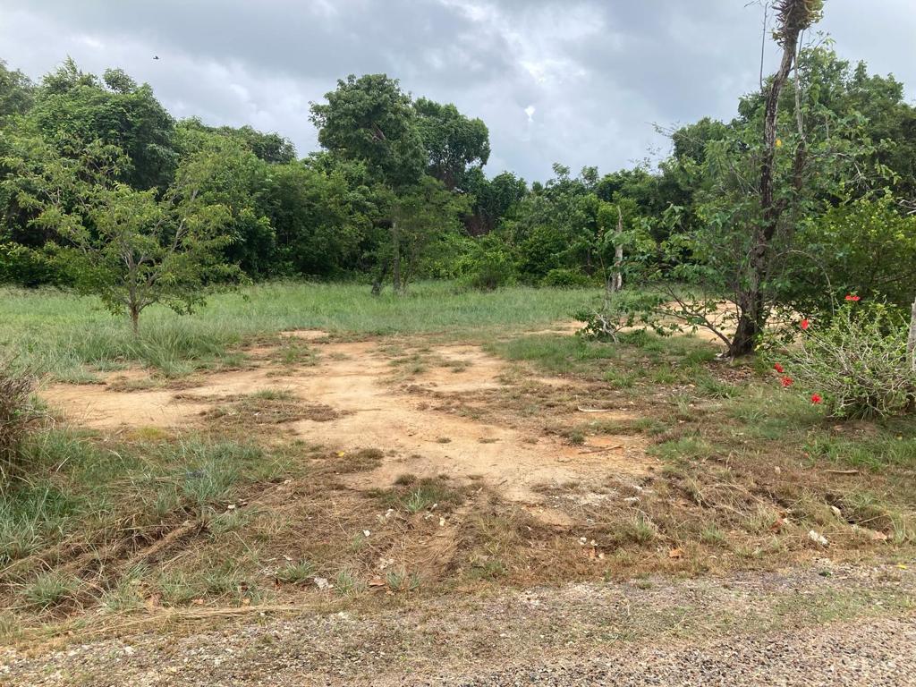 listing image with ID 50792