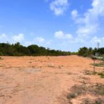 listing image thumbnail with ID 50541