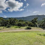 listing image thumbnail with ID 50135