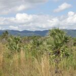 listing image thumbnail with ID 50334