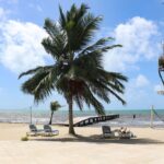 listing image thumbnail with ID 50105