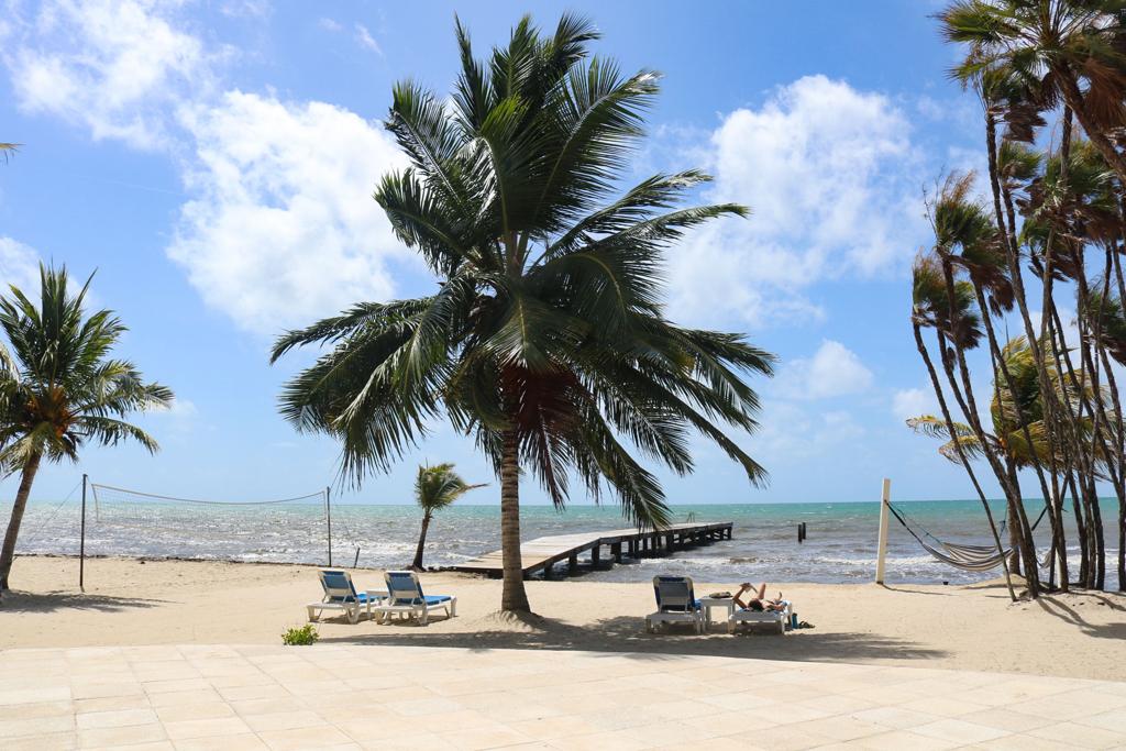 listing image with ID 50105