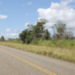 listing image thumbnail with ID 50342