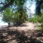 listing image thumbnail with ID 51041