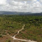 listing image thumbnail with ID 50666