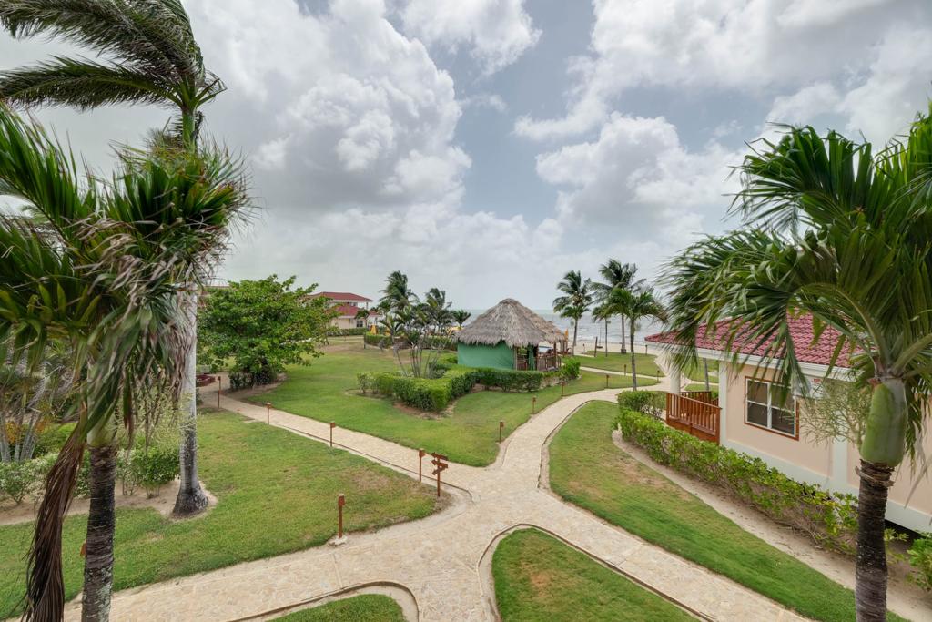listing image with ID 50950