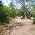 listing image thumbnail with ID 51043