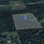 listing image thumbnail with ID 50126