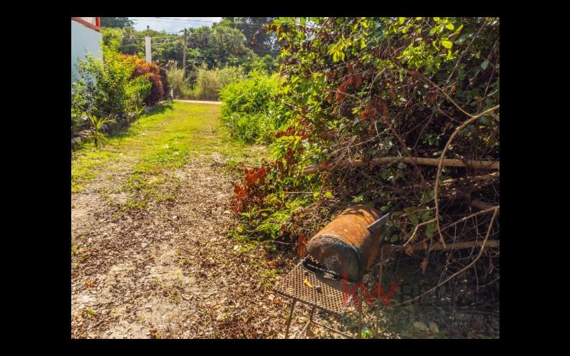 listing image with ID 50843