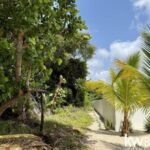 listing image thumbnail with ID 50240