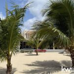 listing image thumbnail with ID 50236