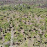 listing image thumbnail with ID 50677