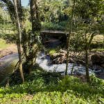 listing image thumbnail with ID 50134