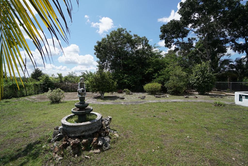 listing image with ID 51089