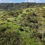 listing image thumbnail with ID 50150