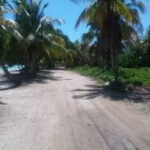 listing image thumbnail with ID 51040