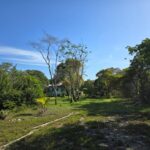 listing image thumbnail with ID 51052