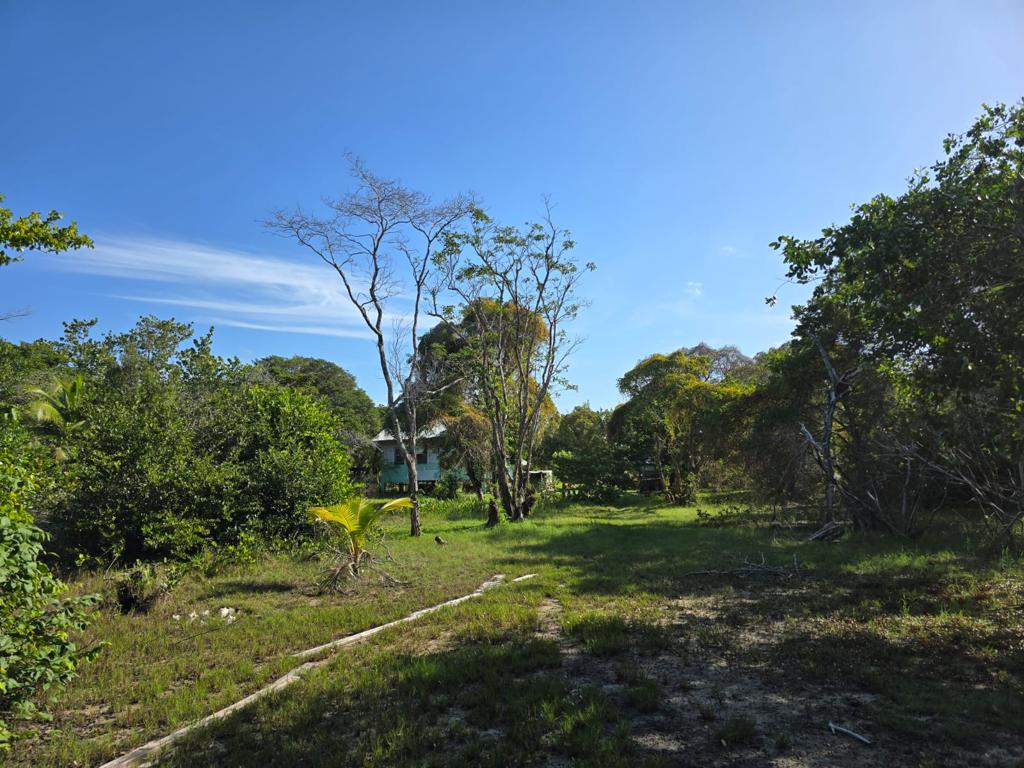 listing image with ID 51052