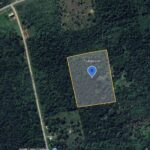 listing image thumbnail with ID 50122