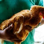 listing image thumbnail with ID 50735