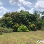 listing image thumbnail with ID 50890