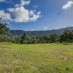 listing image thumbnail with ID 50142