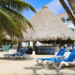 listing image thumbnail with ID 50107