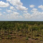 listing image thumbnail with ID 50676