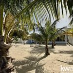 listing image thumbnail with ID 50229