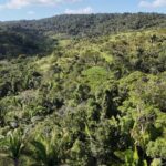 listing image thumbnail with ID 50149