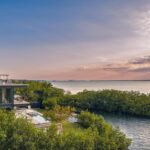 listing image thumbnail with ID 51162