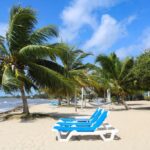 listing image thumbnail with ID 50112