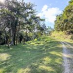 listing image thumbnail with ID 50136