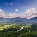 listing image thumbnail with ID 50427