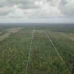 listing image thumbnail with ID 50332