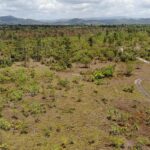 listing image thumbnail with ID 50672