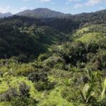 listing image thumbnail with ID 50151