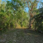 listing image thumbnail with ID 50690