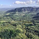 listing image thumbnail with ID 50156