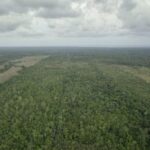 listing image thumbnail with ID 50340