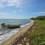 listing image thumbnail with ID 51053