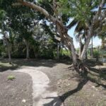 listing image thumbnail with ID 51081