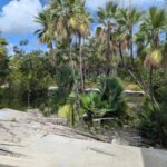 listing image thumbnail with ID 50712