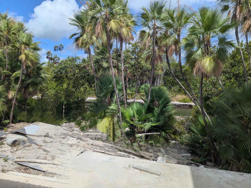 listing image with ID 50712