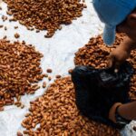 listing image thumbnail with ID 50734