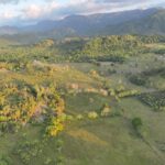 listing image thumbnail with ID 50349